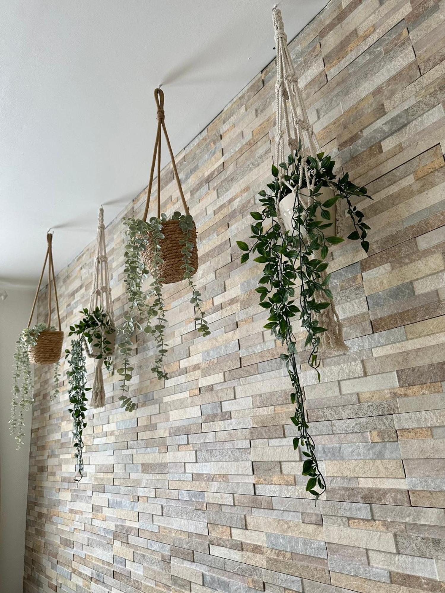 Ferienwohnung Harz Hexe Wernigerode Ngoại thất bức ảnh